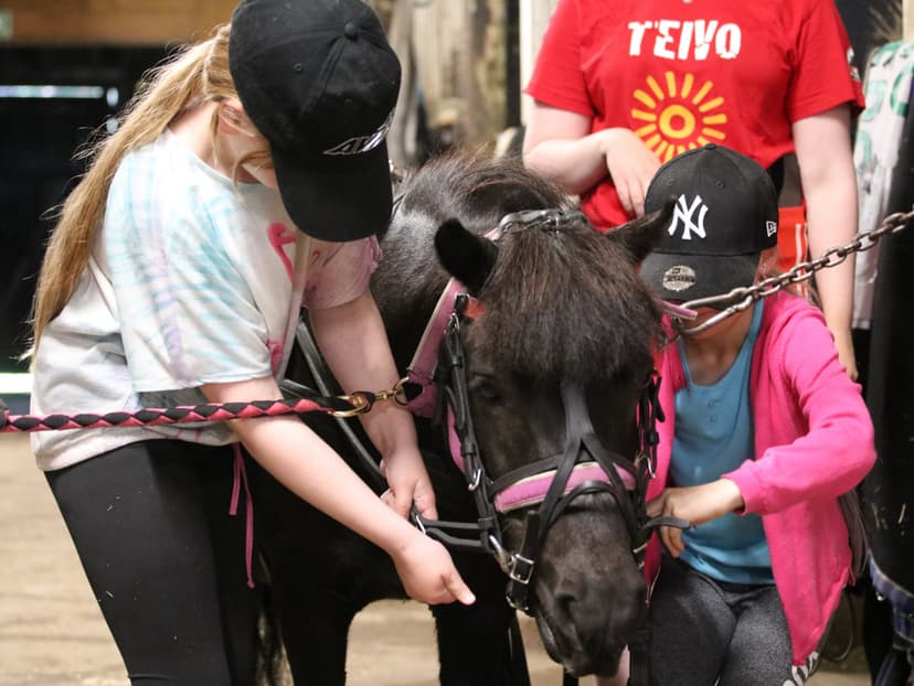 Lasten ponielämysajo | Tampere