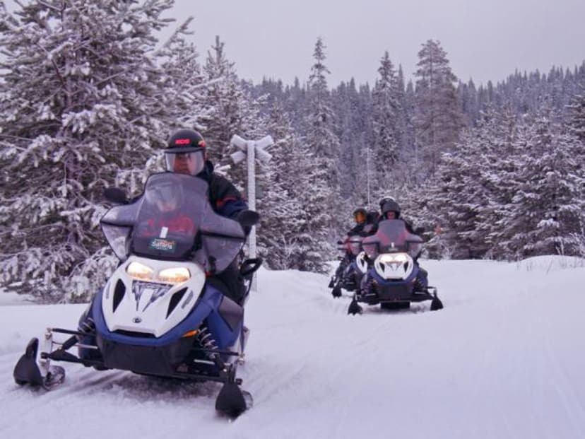 Moottorikelkkasafari neljälle | Kuusamo