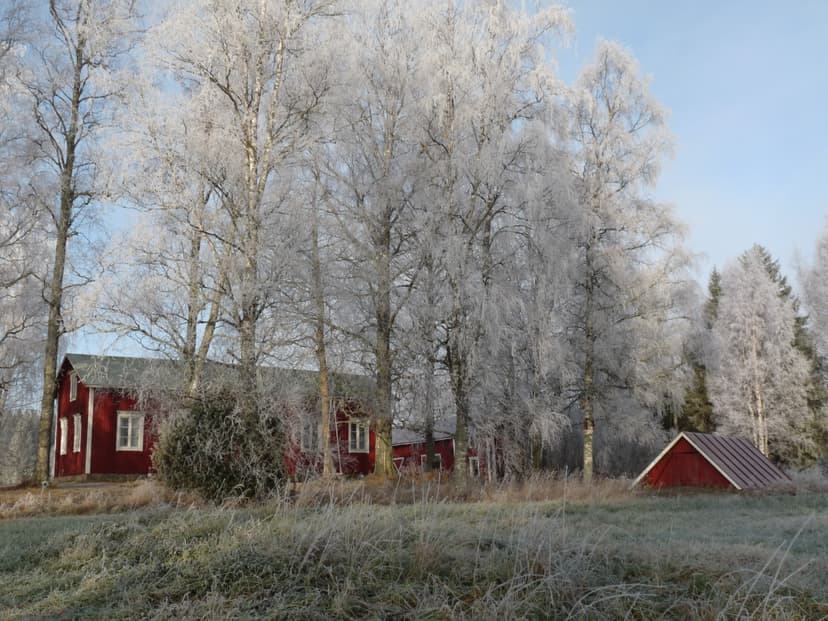 Mindfulness-kurssi | Seinäjoki