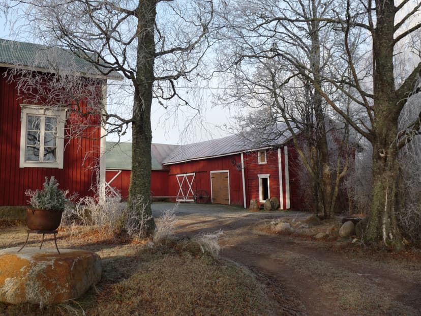 Itseilmaisun työpaja | Seinäjoki