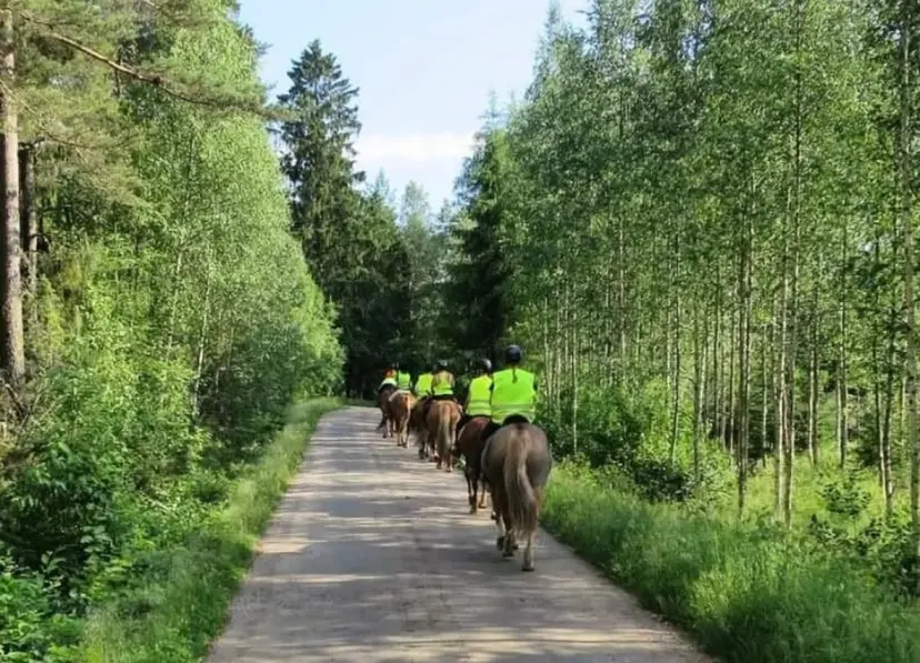 Maastoratsastus kahdelle | Marttila