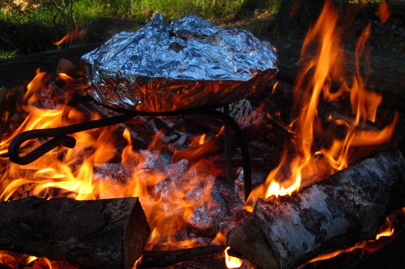 Opastettu luontoretki + minibussi päiväksi käyttöön 1-8:lle | Uusimaa