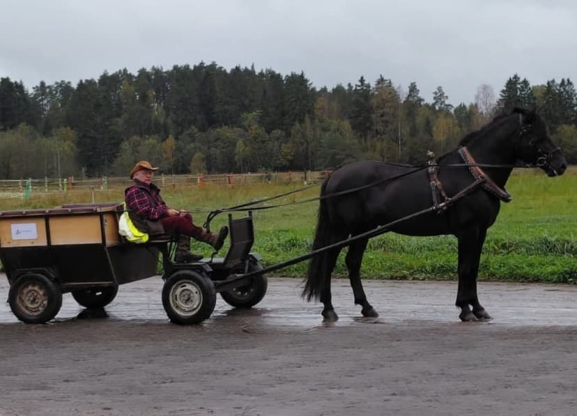 Hevoskärryajelu 3-5:lle | Marttila