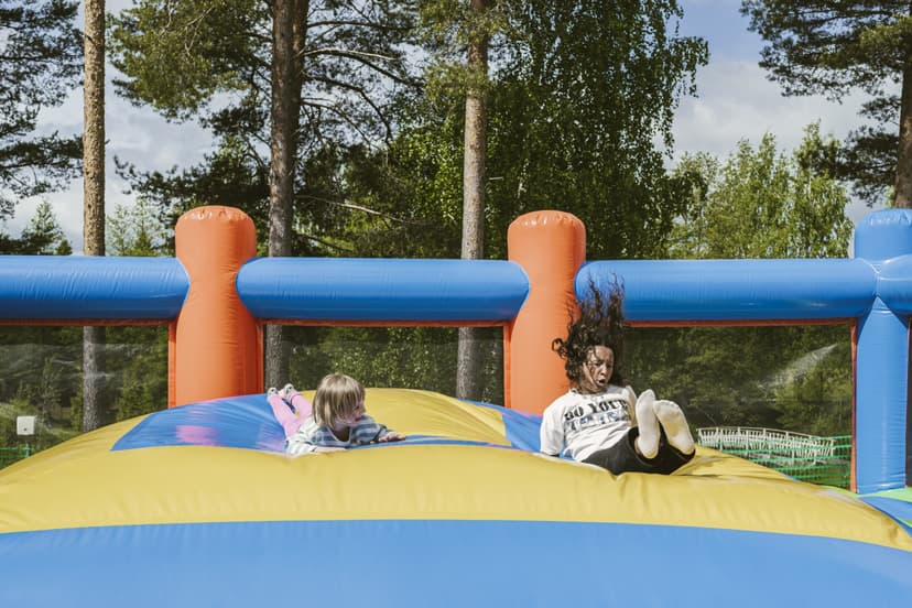 Perhelippu Puuhapuisto Veijariin | Kolkanlahti