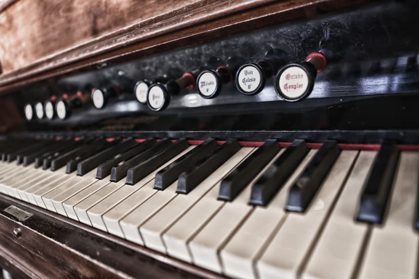 Illallinen ravintola Harmoonissa - 160 € lahjakortti | Jyväskylä