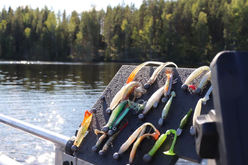 Jigikalastus Saimaalla 1-3:lle (8 tuntia) | Saimaa