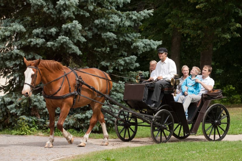 Loma Vihulan kartanossa - 50 € majoituslahjakortti | Viro