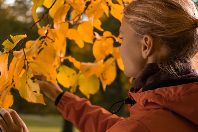Ohjattu Mindfulness-retki metsään ja nokipannukahvit 10:lle | Pääkaupunkiseutu