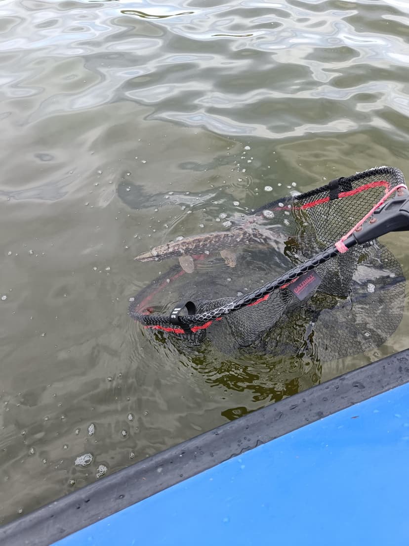 Avoin lahjakortti 300 € - Chill Out Fishing | Kemiönsaari | Sauvo | Salo | Parainen