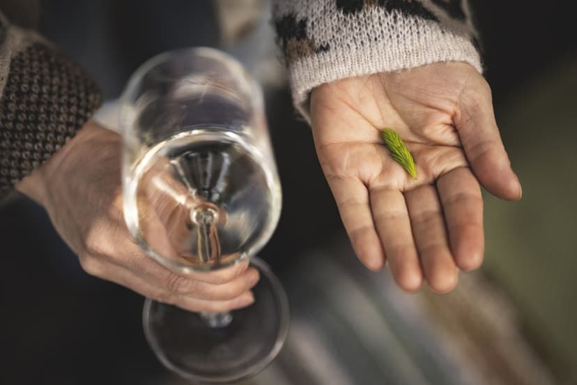 Wine in the Woods kahdelle | Espoo